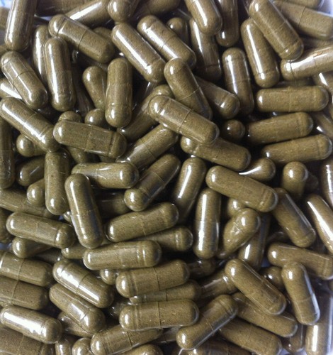360 capsule graviola - 360,
